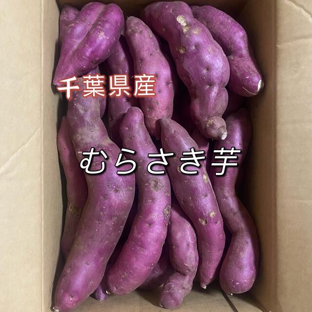 むらさき芋　千葉県産　箱含む5kg   さつまいも 食品/飲料/酒の食品(野菜)の商品写真