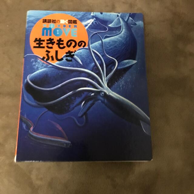 生き物の不思議