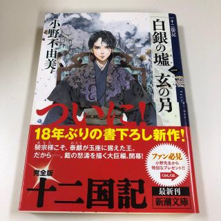 白銀の墟　玄の月 十二国記 第一巻(文学/小説)