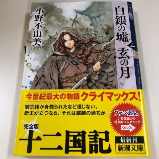 白銀の墟　玄の月 十二国記 第三巻(その他)