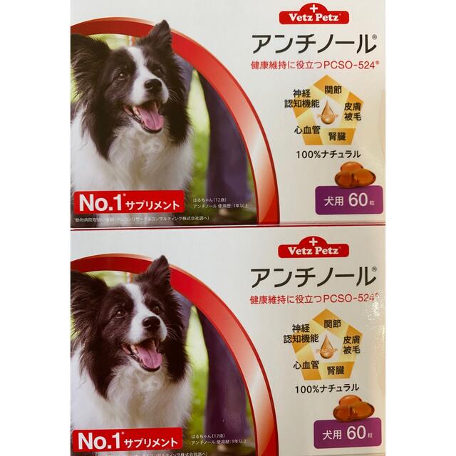 犬用アンチノール60粒2箱セット