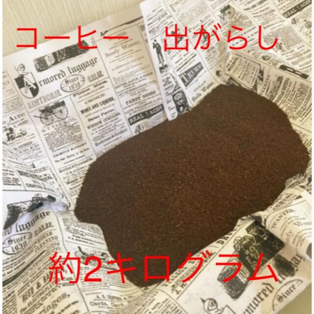 コーヒー　出がらし　肥料　臭い消し　約2キログラム ハンドメイドの素材/材料(その他)の商品写真