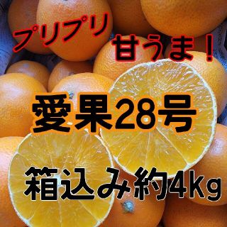 愛媛県産　愛果28号　箱込み約4㎏　訳あり　柑橘　まどんな　みかん(フルーツ)