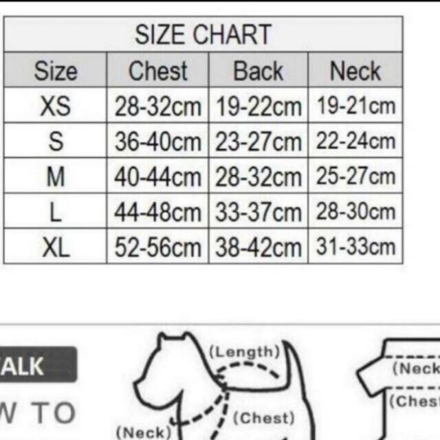 新品 ティファニーブルー 犬服 ドッグドレス XSサイズ その他のペット用品(犬)の商品写真