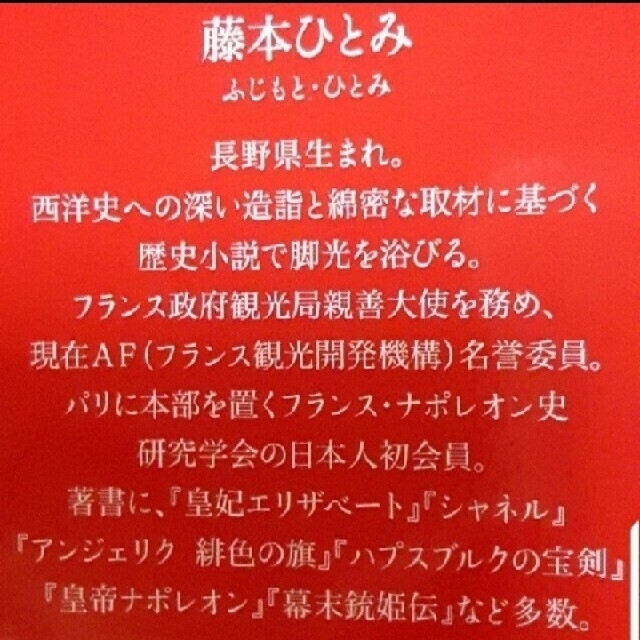 asocap様専用 藤本ひとみシリーズ２冊セット エンタメ/ホビーの本(文学/小説)の商品写真