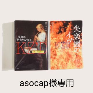 asocap様専用 藤本ひとみシリーズ２冊セット(文学/小説)