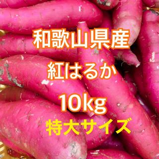 和歌山県産★紅はるか さつまいも 10キロ 特大サイズサツマイモ★甘くて美味しい(野菜)