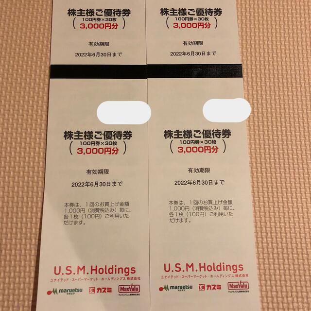 usmh 株主優待 12000円分 ユナイテッドスーパー