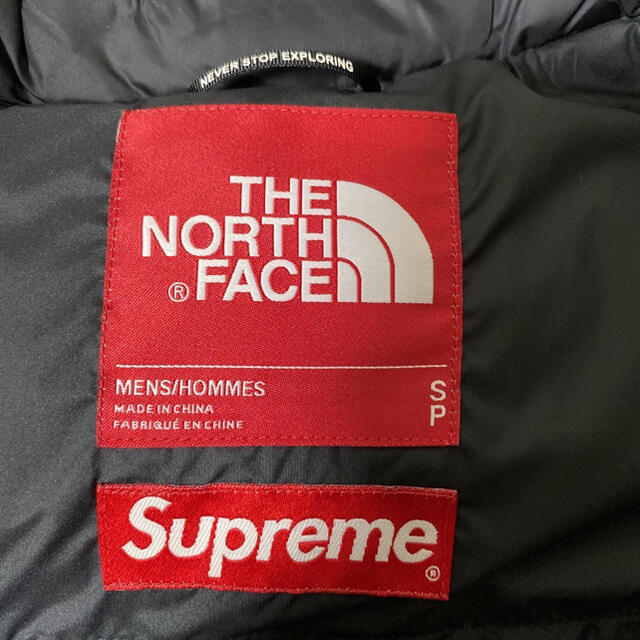 Supreme(シュプリーム)の16AW SUPREME NORTH FACE LEAVES NUPSTE メンズのジャケット/アウター(ダウンジャケット)の商品写真
