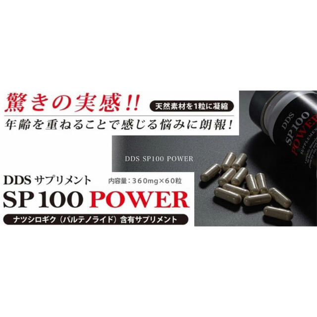 DDS SP100 POWER  ITECアイテック