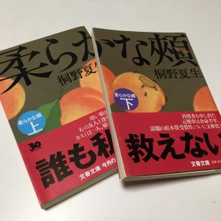 柔らかな頬（ほほ） 上下(文学/小説)