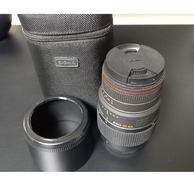 SIGMA APO 70-300mm F4-5.6 DG MACRO　ニコン