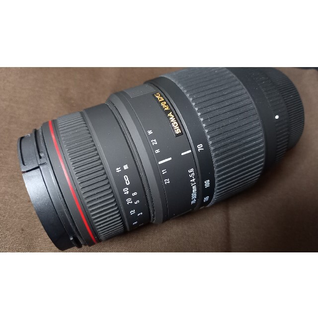 SIGMA APO 70-300mm F4-5.6 DG MACRO　ニコン