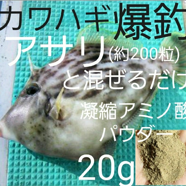 カワハギ　ワカサギ　アミノ酸　イノシン酸　集魚材　海釣り　堤防釣り　釣り　餌釣り スポーツ/アウトドアのフィッシング(ルアー用品)の商品写真