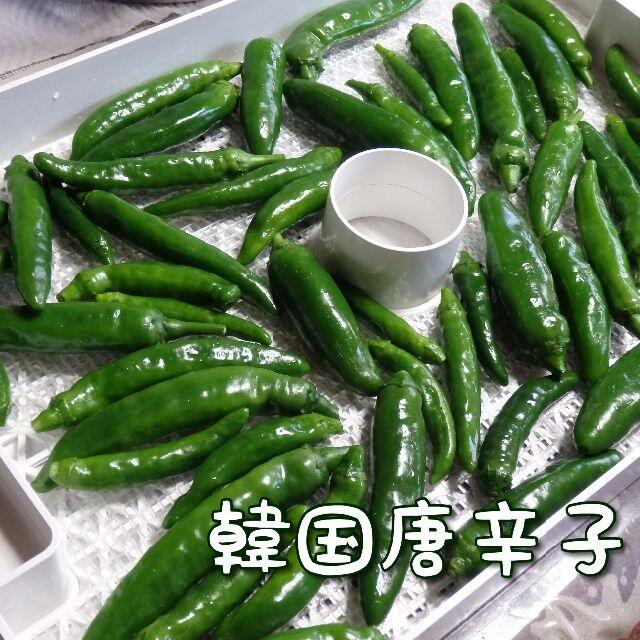 青唐辛子ミックス【最終出品】 食品/飲料/酒の食品(野菜)の商品写真