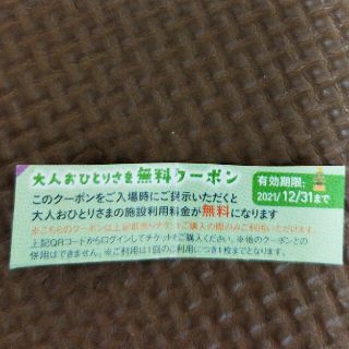 ファンタジーキッズリゾート　大人無料券(遊園地/テーマパーク)