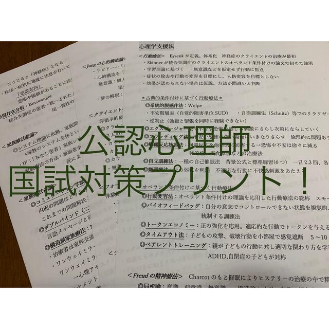 公認心理師国試対策プリント!合格祈願!! エンタメ/ホビーの本(資格/検定)の商品写真