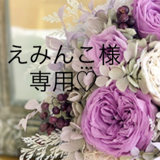 ♡えみんこ様専用♡(バッグ)