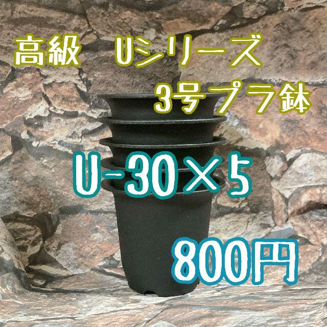 【U-30】◎5個◎ 高級 プラ鉢 3号 U-30 丸鉢 ミニ鉢 黒 ハンドメイドのフラワー/ガーデン(プランター)の商品写真