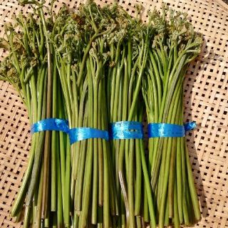 ☆送料無料☆ ワラビ 塩蔵 1.2kg 数量限定(野菜)