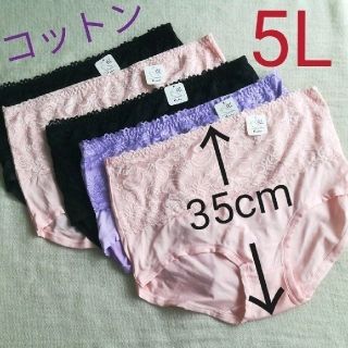 (V110)【5L】5枚コットン 深履き ショーツ 大きいサイズ 綿パンツ(ショーツ)