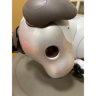 ソニー(SONY)のSONY aibo (ERS-1000/W)(その他)