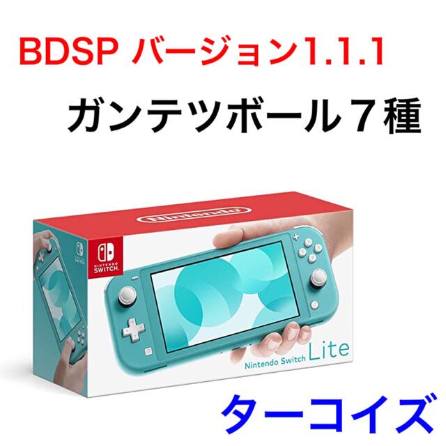 ポケモン BDSPバージョン1.1.1止めSwitchライト本体のみ