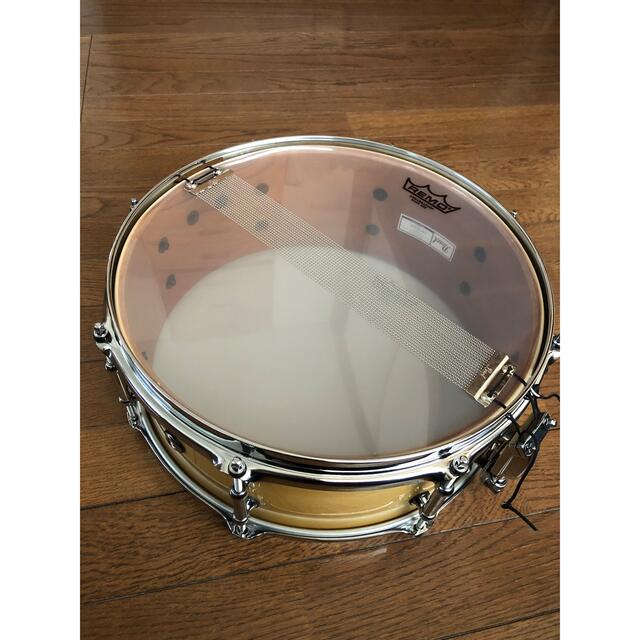 pearl(パール)の【超美品】ウッドファイバーグラス スネアドラム 14インチ Pearl 楽器のドラム(スネア)の商品写真