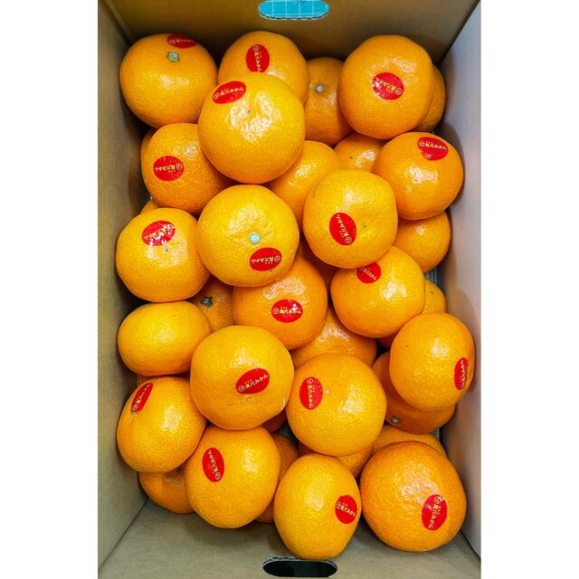 高級ブランドみかん!愛媛県産【真穴みかん】○等級 Sサイズ 3kg 高級ブランドみかん!愛媛県産【真穴みかん】○等級 Sサイズ 3kg