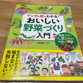 マンガと絵でわかる！おいしい野菜づくり入門(趣味/スポーツ/実用)