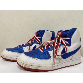 NIKE TERMINATOR HIGH  ネオンイエロー 24.5cm