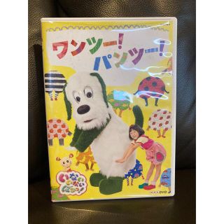 NHKDVD　いないいないばあっ！　ワンツー！パンツー！ DVD(キッズ/ファミリー)