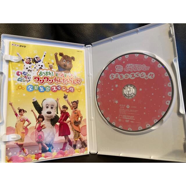 NHKDVD　いないいないばあっ！　あつまれ！ワンワンわんだーらんど　～全員集合 エンタメ/ホビーのDVD/ブルーレイ(キッズ/ファミリー)の商品写真