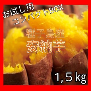 安納芋　種子島　サツマイモ　さつまいも　1.5㎏　新鮮　野菜　お試し用　送料無料(野菜)