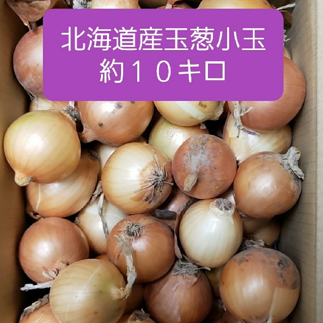 北海道産　玉ねぎ　訳あり品　２Sサイズ小玉　約１０キロ 食品/飲料/酒の食品(野菜)の商品写真