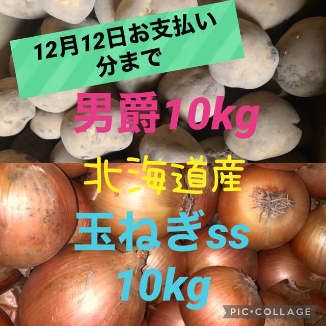 北海道産じゃがいも10kg玉ねぎss8kg - 野菜