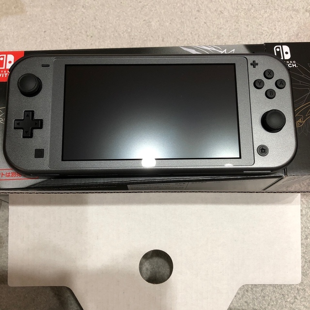 美品　NINTENDO SWITCH LITE ディア