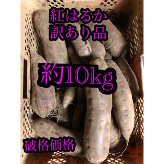 訳あり品 紅はるか さつまいも 約10kg(野菜)