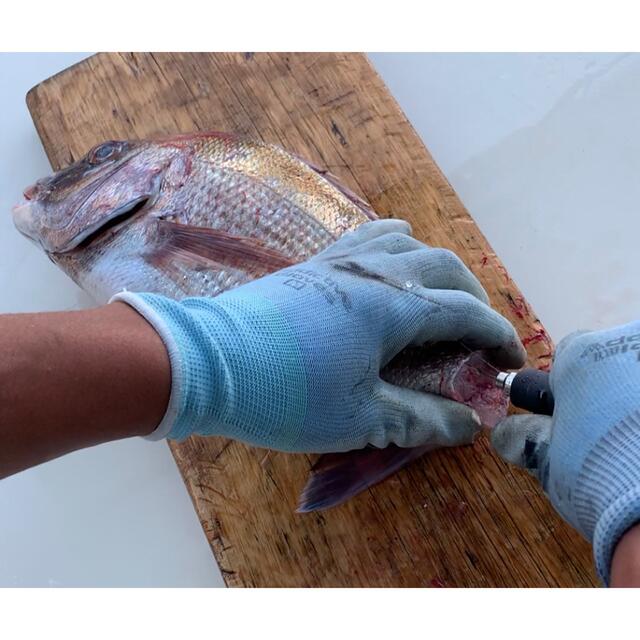 ☆海鮮パックの詰め合わせ☆　鮮魚　海の幸　津本式血抜き　瀬戸内海 食品/飲料/酒の食品(魚介)の商品写真