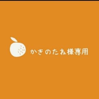 かきのたね様専用☆多肉植物(その他)