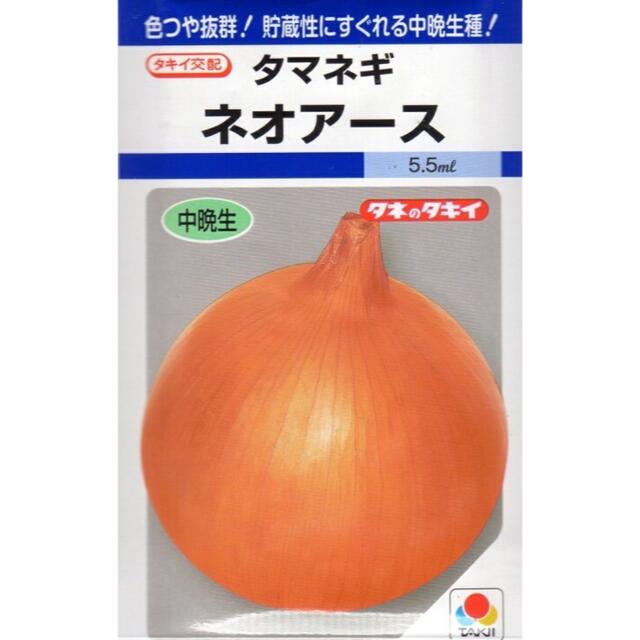 晩生‼️ネオアース玉葱苗100本入❗️ 食品/飲料/酒の食品(野菜)の商品写真