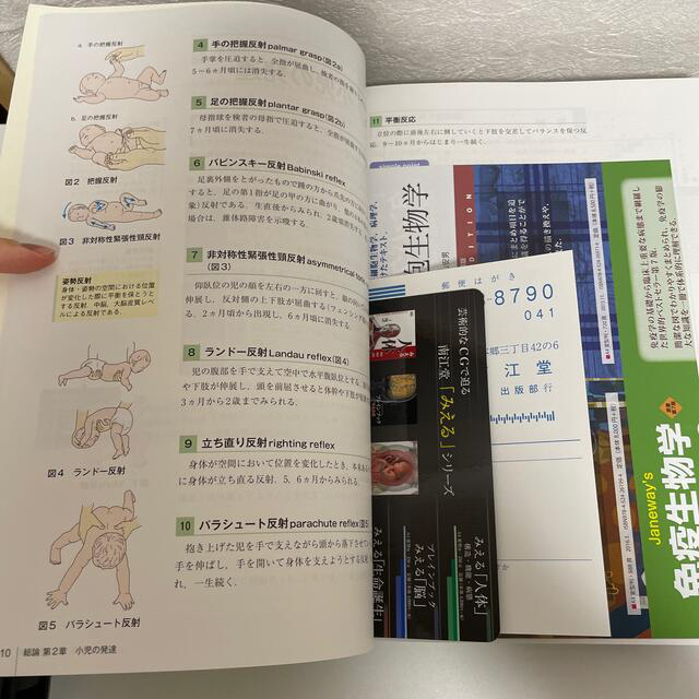 シンプル小児科学 エンタメ/ホビーの本(健康/医学)の商品写真