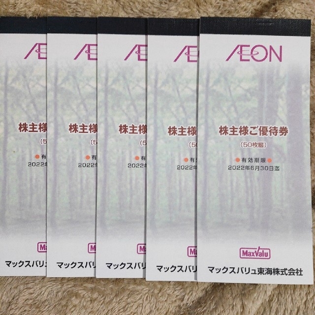 AEON(イオン)のマックスバリュ イオン 株主優待 チケットの優待券/割引券(ショッピング)の商品写真