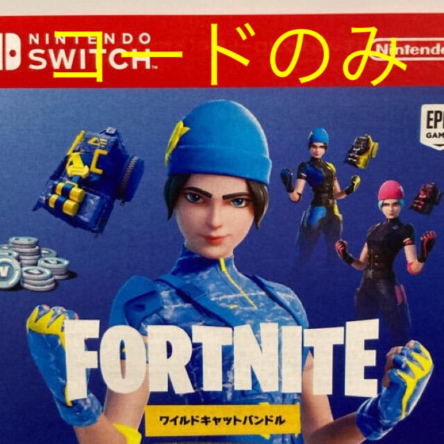 本体未使用　Nintendo Switch Fortnite コード無し