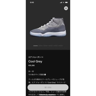 ナイキ(NIKE)のNIKE AIR JORDAN 11 Cool Grey US12/30cm(スニーカー)