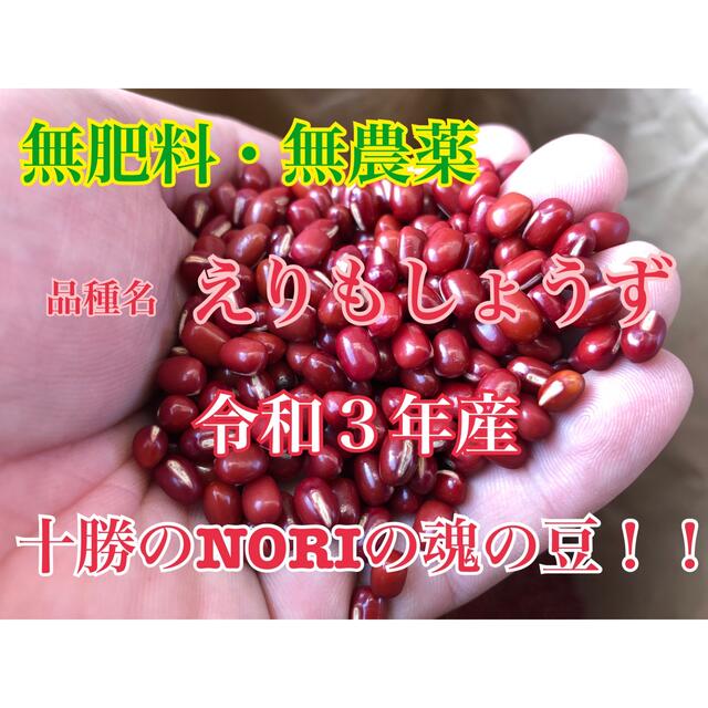新物小豆 10kg - 米/穀物