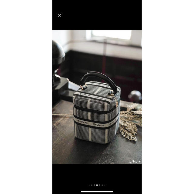 SNIDEL(スナイデル)のHLT Jacquard Vanity Bag herlipto バニティバッグ レディースのバッグ(ハンドバッグ)の商品写真