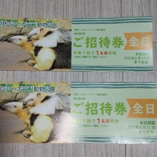 伊豆シャボテン動物公園（全日）２名様(動物園)