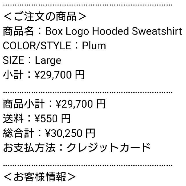 Supreme(シュプリーム)の21FW Supreme Box Logo Hooded Sweatshirt メンズのトップス(パーカー)の商品写真