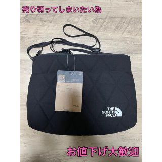 ザノースフェイス(THE NORTH FACE)のジオフェイスポーチ Geoface Pouch  (ショルダーバッグ)